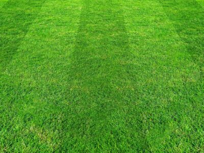 Kunstgras laten leggen