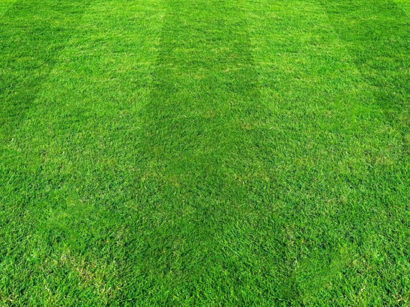 Kunstgras laten leggen